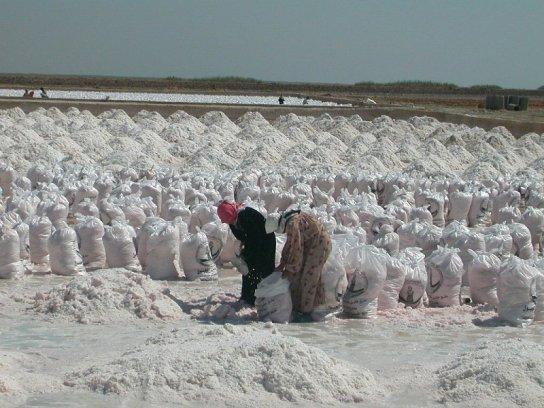 Les 5 principaux gisements miniers de Syrie : une richesse géologique non exploitée 3 Sabkhat al Jabbul