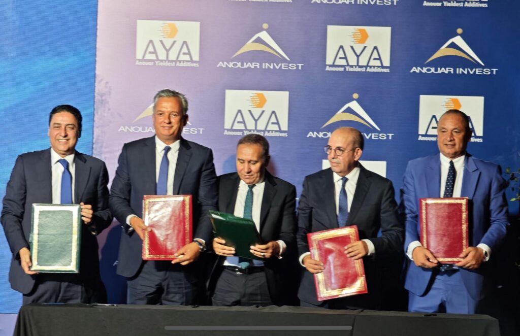 Anouar Invest 2