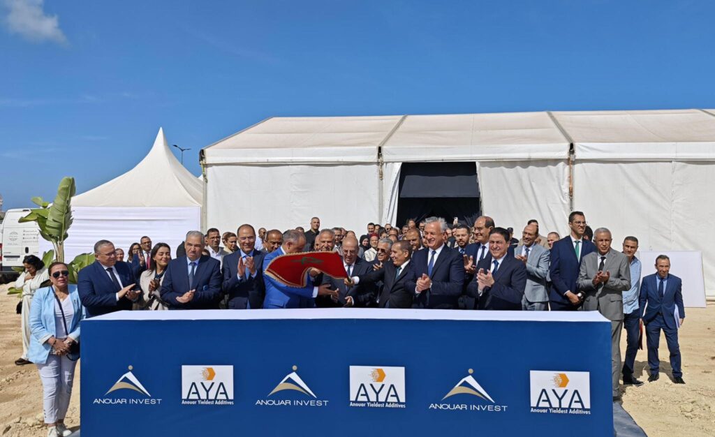 Anouar Invest 3