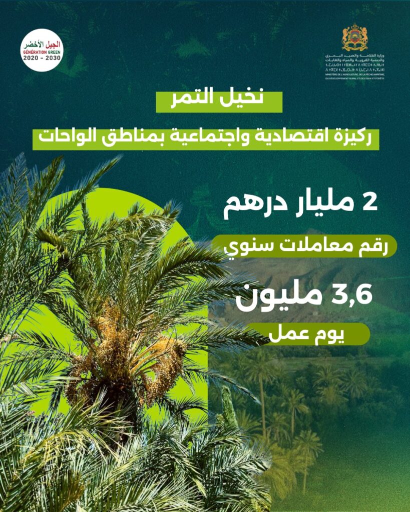 Erfoud : Le 14ᵉ Salon international des dattes consacre la durabilité des oasis marocaines 2 Sidattes 2