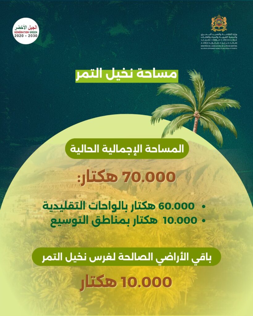 Erfoud : Le 14ᵉ Salon international des dattes consacre la durabilité des oasis marocaines 3 Sidattes 3