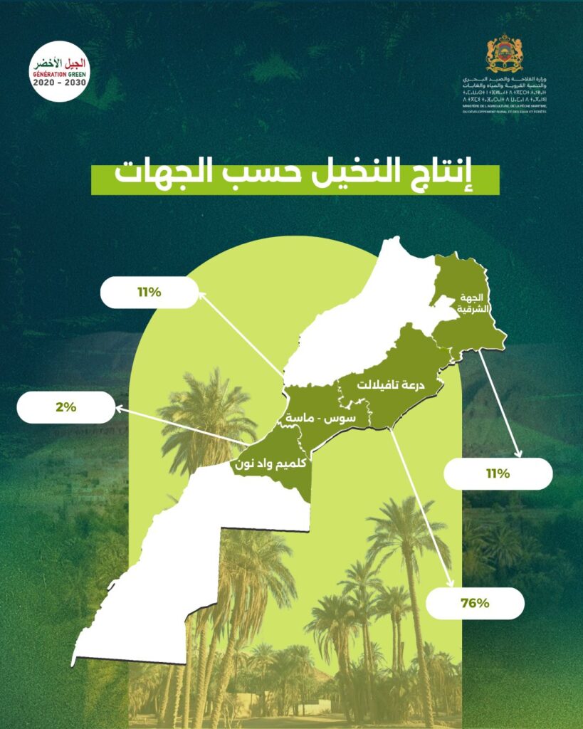 Erfoud : Le 14ᵉ Salon international des dattes consacre la durabilité des oasis marocaines 4 Sidattes 4