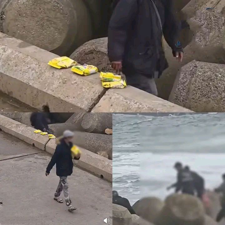 Fermeture du port de Casablanca après la chute de 85 conteneurs : un nouvel épisode dans une crise portuaire déjà critique 2 Ionikos 4