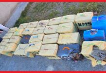 Rabat : saisie de 865 kg de Cannabis, deux suspects interpellés