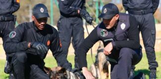 Police cynotechnique : la DGSN forme des stagiaires maliens à Rabat