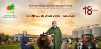 SIAM 2026 : Meknès ouvre demain les portes d’un grand rendez-vous agricole mondial
