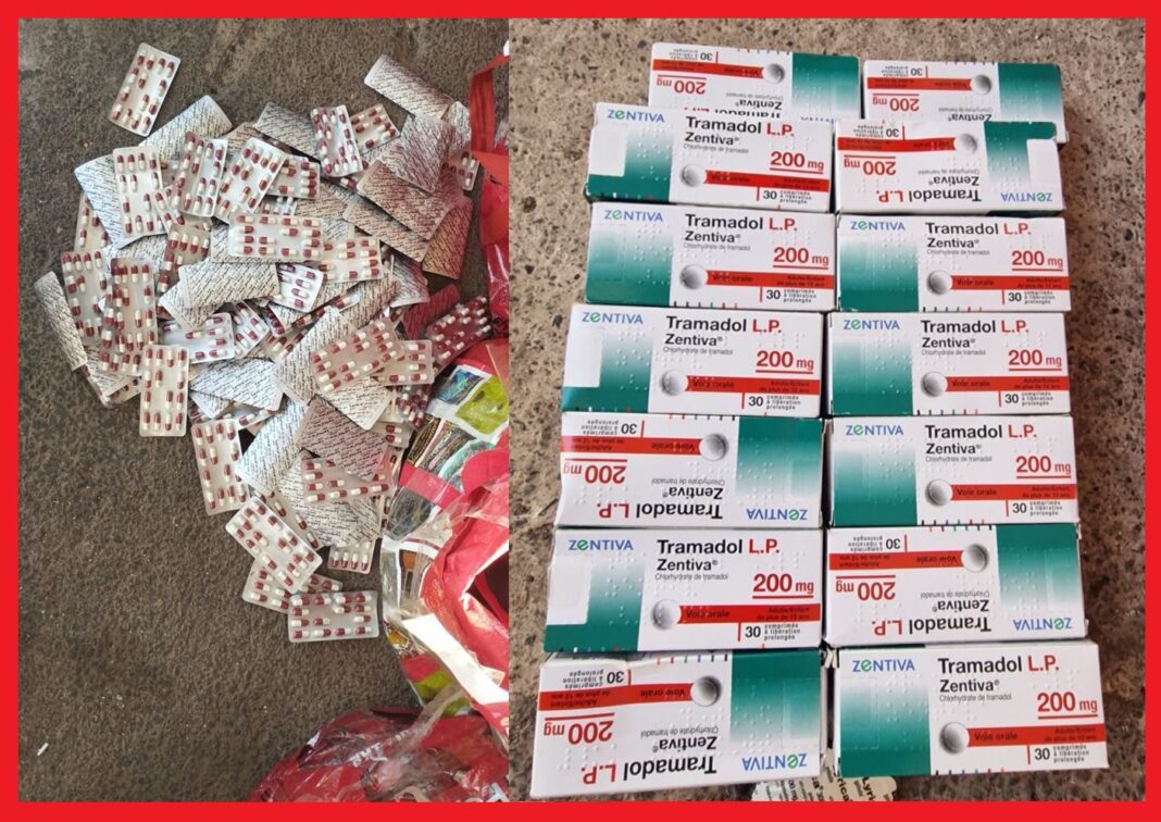 Nador : saisie de 7486 comprimés psychotropes au port de Beni Ansar