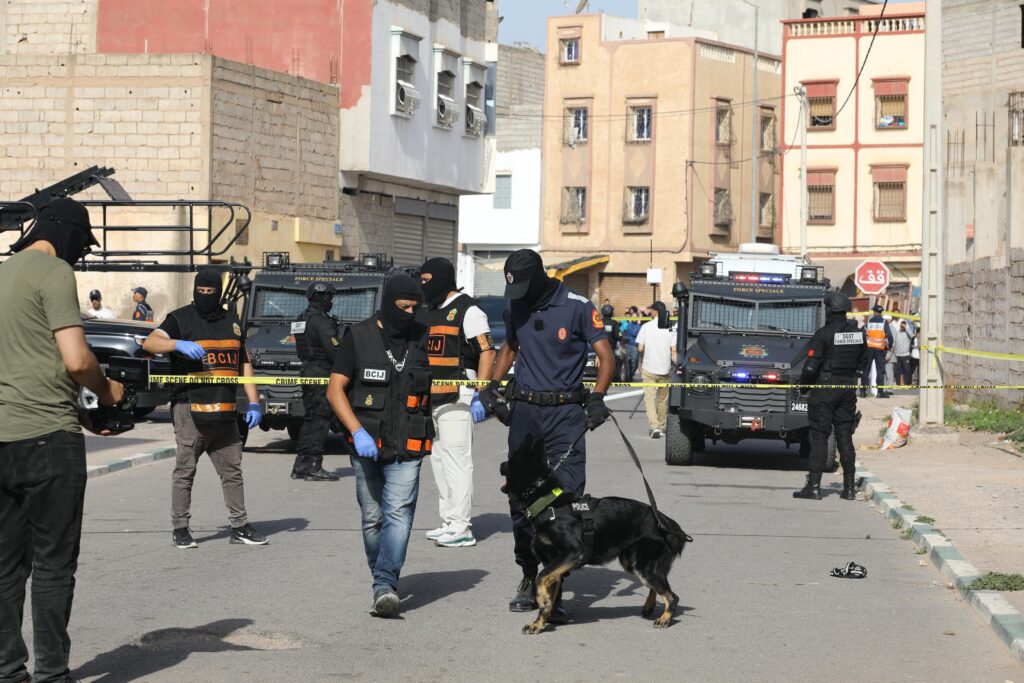 BCIJ DAECH 14