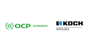 L’américain Koch et OCP musclent leur alliance à Jorf Lasfar dans un marché des engrais sous tension