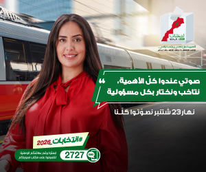 Election 2026 VOTE FU 300x250 1