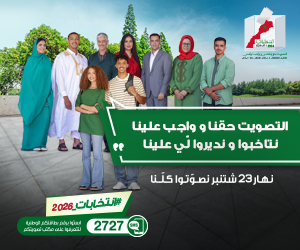 Election 2026 VOTE GN 300x250 1