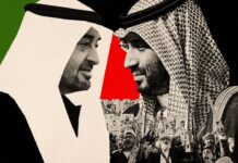 The Economist accuse Riyad et Abou Dhabi de « semer le chaos »