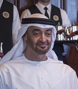 board peace mohammed ben zayed portrait